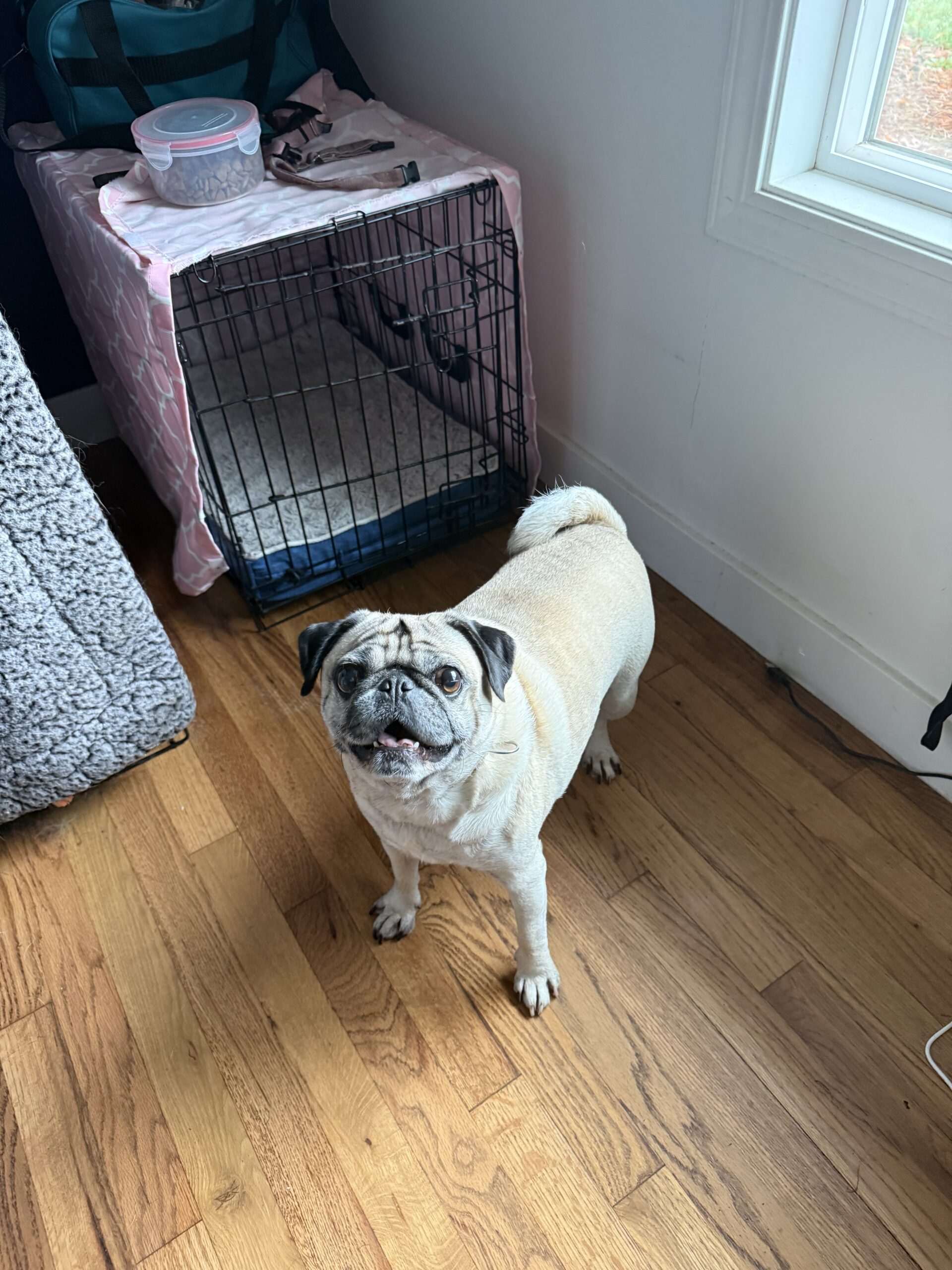 board and train seattle wa